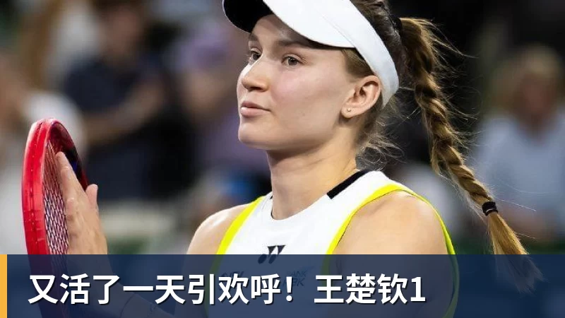 必发官网又活了一天引欢呼!王楚钦1