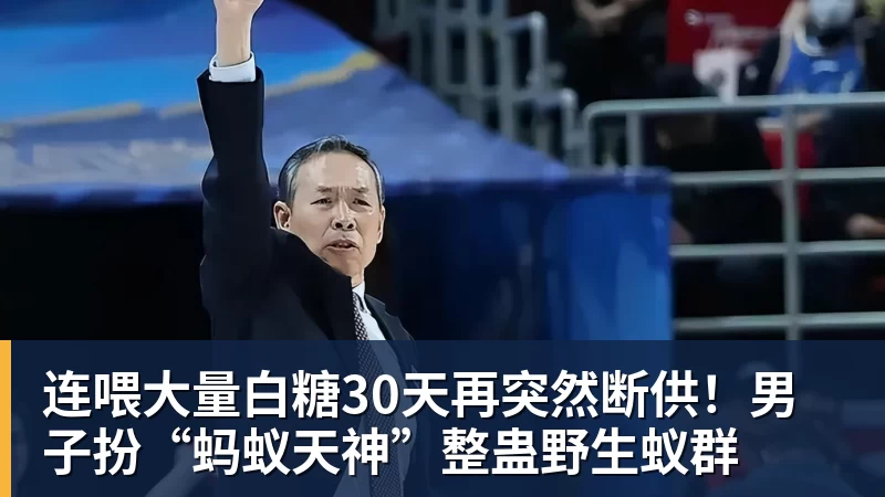 连喂大量白糖30天再突然断供！男子扮“蚂蚁天神”整蛊野生蚁群